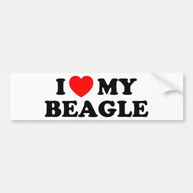 I Love my Beagle Bumper Sticker (Front)