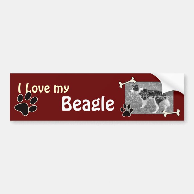 I love my Beagle Bumper Sticker (Front)