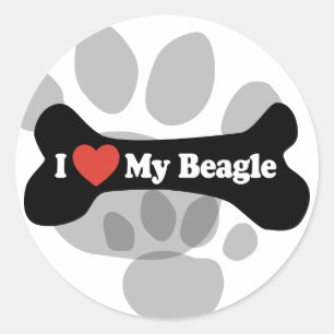 I Love My Beagle - Dog Bone Classic Round Sticker
