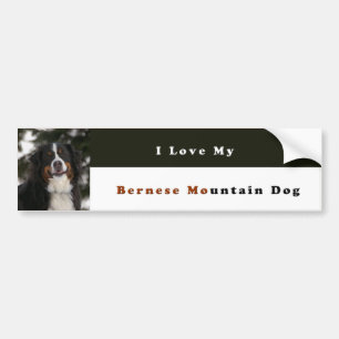 I Love My Bernese Mountain Dog Bumper Sticker