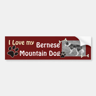 I love my Bernese Mountain Dog Bumper Sticker