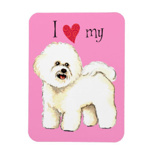 I Love my Bichon Frise Magnet