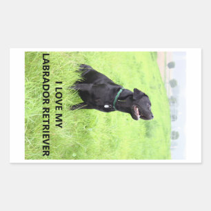 I Love My Black Labrador Retriever Sticker