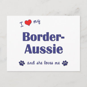 I Love My Border-Aussie (Female Dog) Postcard