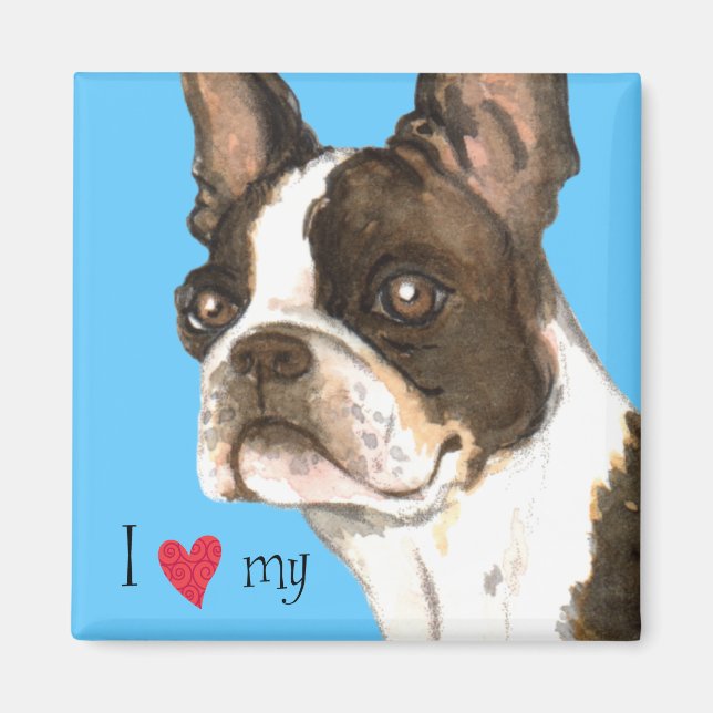 I Love my Boston Terrier Magnet (Front)