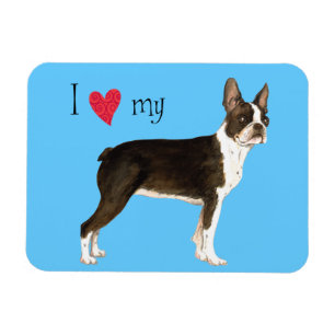 I Love my Boston Terrier Magnet