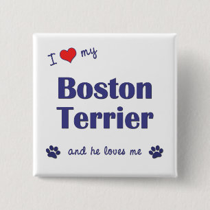 I Love My Boston Terrier (Male Dog) 2 Inch Square Button