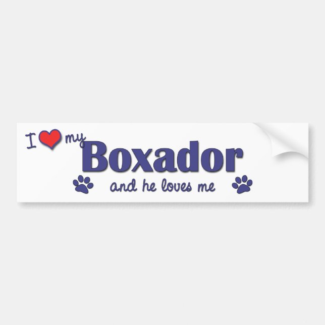 I Love My Boxador (Male Dog) Bumper Sticker (Front)