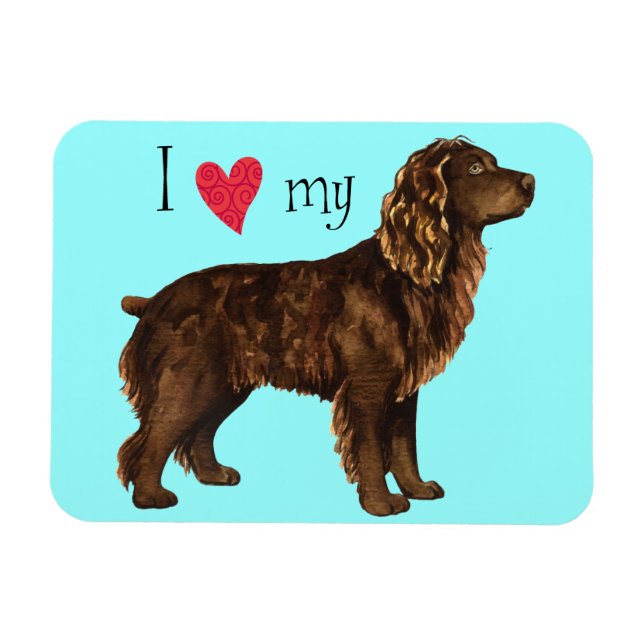 I Love my Boykin Spaniel Magnet (Horizontal)