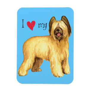 I Love my Briard Magnet