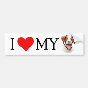 I Love My Brittany Bumper Sticker