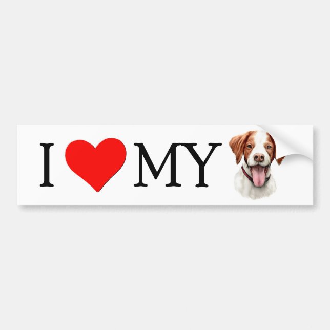 I Love My Brittany Bumper Sticker (Front)