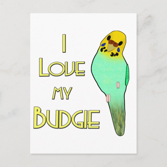 I Love My Budgie Postcard (Front)