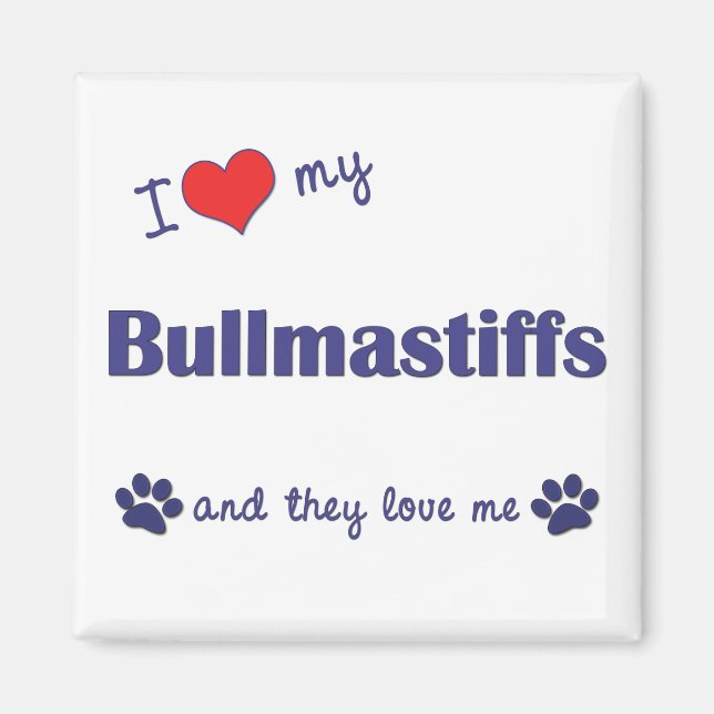 I Love My Bullmastiffs (Multiple Dogs) Magnet (Front)
