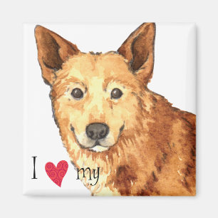 I Love my Canaan Dog Magnet