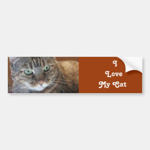 I   Love   My Cat Bumper Sticker