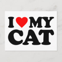 I LOVE MY CAT