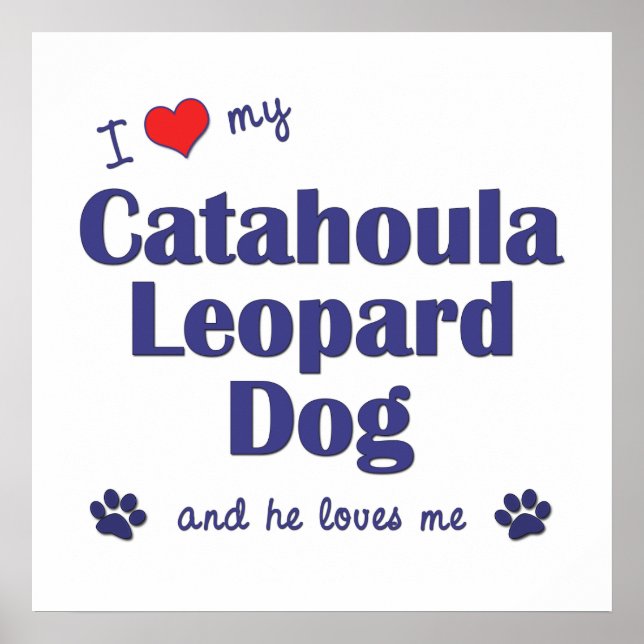 I Love My Catahoula Leopard Dog (Male Dog) Poster (Front)
