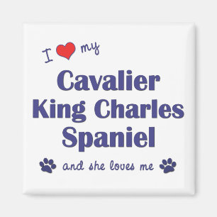 I Love My Cavalier King Charles (Female Dogs) Magnet
