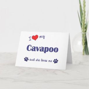 I Love My Cavapoo (Female Dog) Card