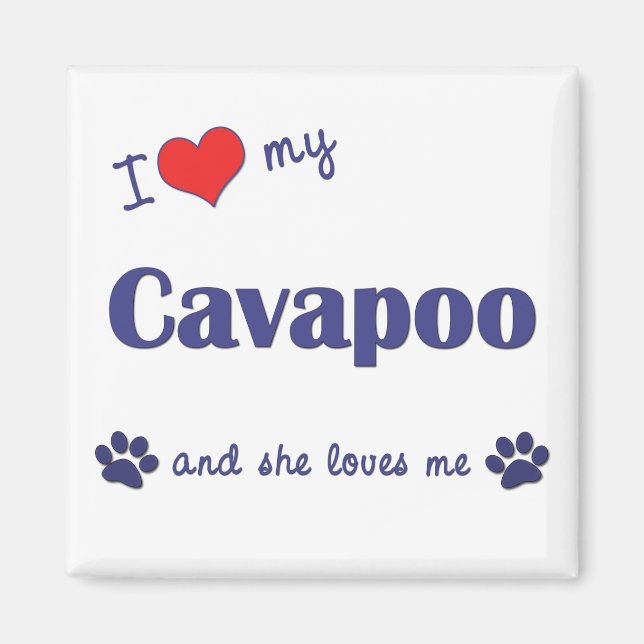 I Love My Cavapoo (Female Dog) Magnet (Front)