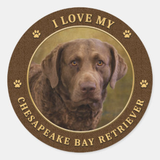 I Love My Chesapeake Bay Retriever Stickers Round