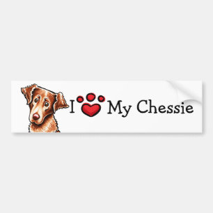 I Love My Chessie Chesapeake Bay Retriever Bumper Sticker