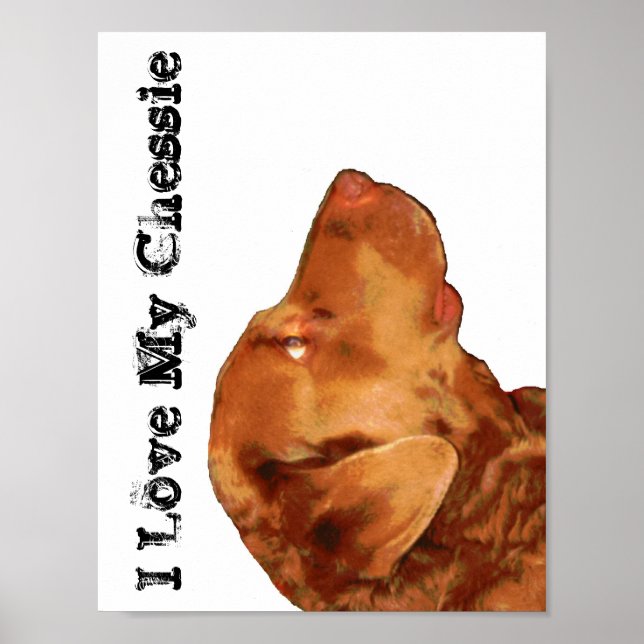 I Love My Chessie Poster (Front)