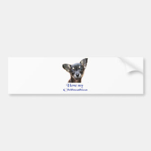 I love my Chihuahua Bumper Sticker
