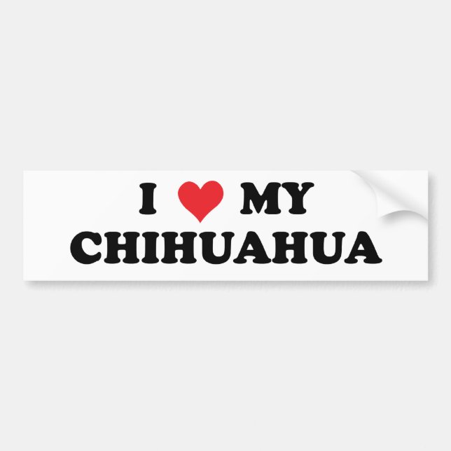 I Love My Chihuahua Bumper Sticker (Front)