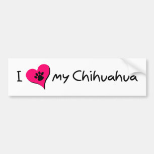 I Love my Chihuahua Bumper Sticker
