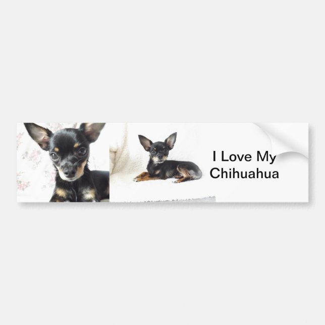 I Love My Chihuahua Bumper Sticker (Front)