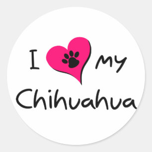 I Love my Chihuahua Classic Round Sticker