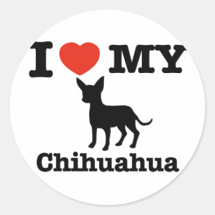 I love my Chihuahua Classic Round Sticker