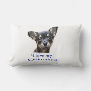 I love my Chihuahua Lumbar Pillow