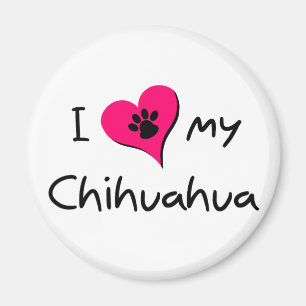 I Love my Chihuahua Magnet
