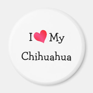 I Love My Chihuahua Magnet