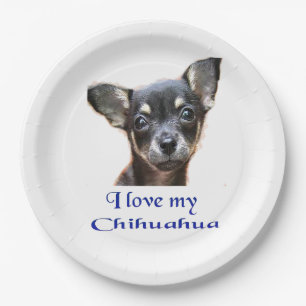 I love my Chihuahua Paper Plate