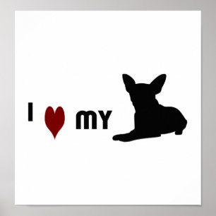 I Love My Chihuahua Poster