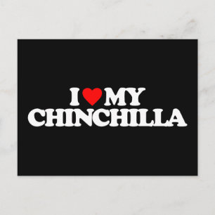 I LOVE MY CHINCHILLA POSTCARD