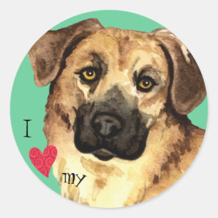 I Love my Chinook Classic Round Sticker