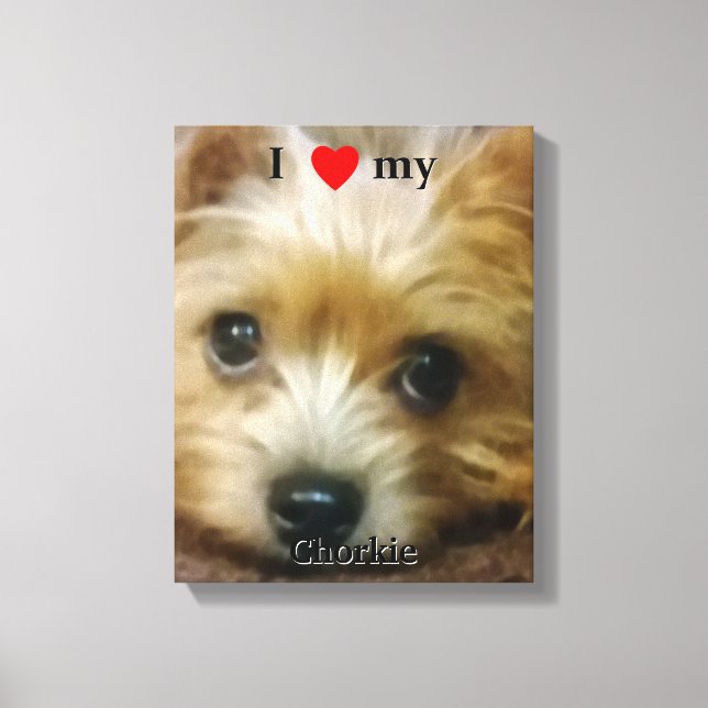 I love my Chorkie Canvas Print (Front)