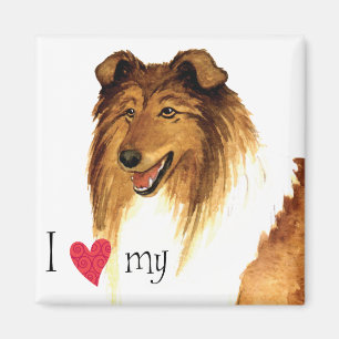 I Love my Collie Magnet