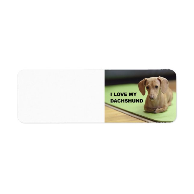 I Love My Cream Dachshund avec photo (Devant)
