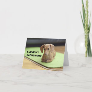 I Love My Cream Dachshund with picture Card