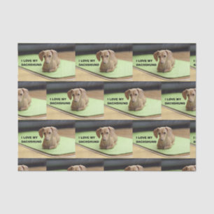 I Love My Cream Dachshund with picture Tissue Paper