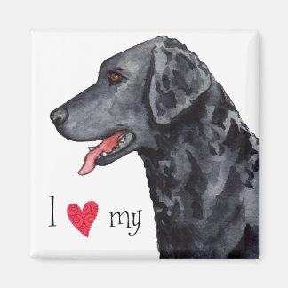 I Love my Curly-Coated Retriever Magnet
