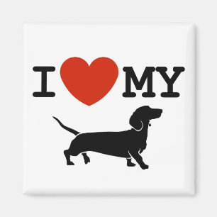 i love my dachshund magnet