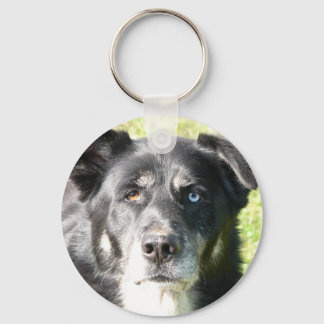 I Love My Dog Keychain