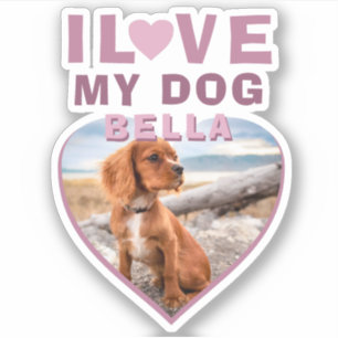 I love my Dog Pink Heart Photo Pet Name